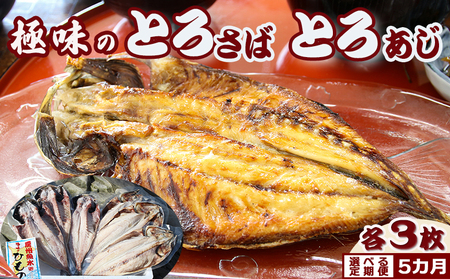 【極味のひもの】脂の乗った『とろさば・とろあじ』干物 各３枚 選べる定期便５カ月《隔月》　[0072-0005]