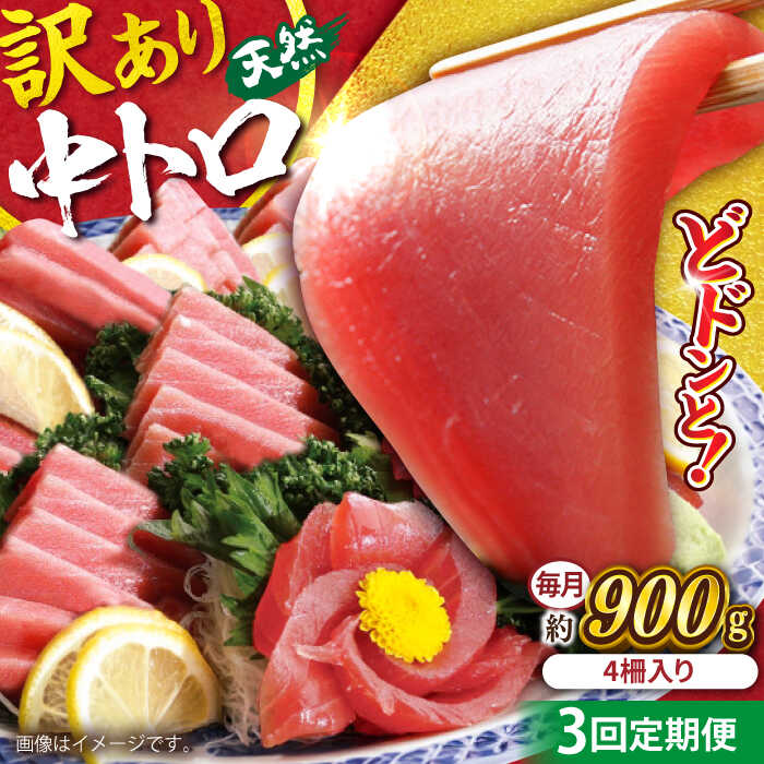 【ふるさと納税】【全3回定期便】【訳あり】天然 まぐろ 中トロ メバチ 計約900g (4柵入り) マグロ 定期 鮪 まぐろ 中とろ 刺身 定期便 横須賀 規格外 【本まぐろ直売所】[AKAK050]