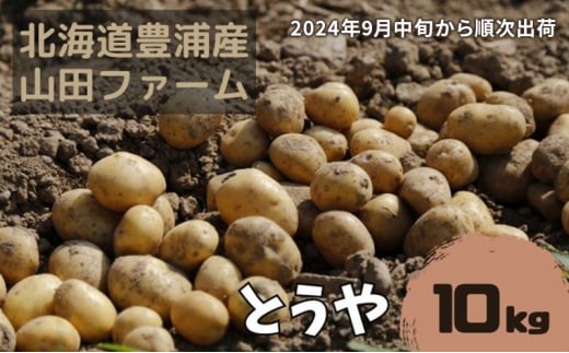 
【2024年9月中旬から順次出荷】北海道 豊浦産 じゃがいも とうや 10kg M-Lサイズ 農園直送 産直 ポテト 芋 イモ
