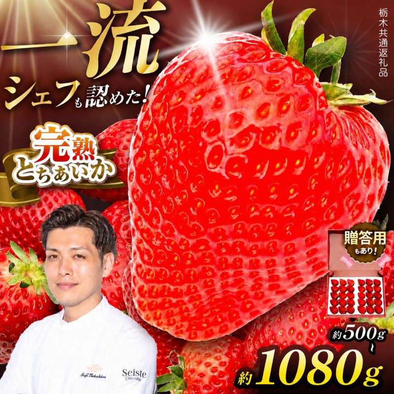 【ふるさと納税】いちご とちあいか 栃木県産 完熟 苺 選べる 数量 限定｜贈答用 プレゼント 先行予約【2027年1月より出荷】イチゴ 人気 下野市 送料無料 栃木県共通返礼品 宇都宮市産