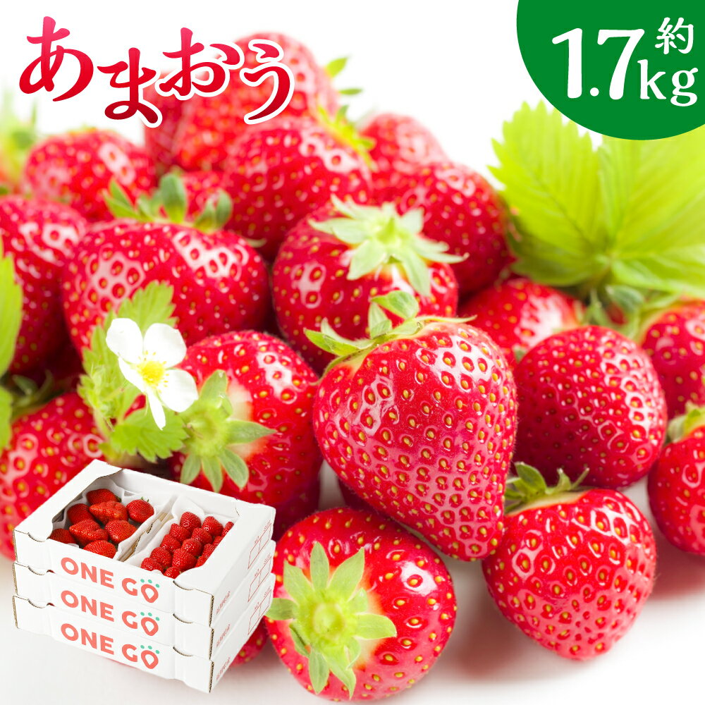 【ふるさと納税】【香春町 大容量 数量限定】 あまおう 約280g×6パック 約1680g 【数量限定】苺 いちご イチゴ ストロベリー 果物 フルーツ おやつ デザート 冷蔵 福岡県産 国産 送料無料【2026年1月上旬-3月下旬迄発送予定】