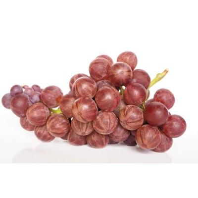 ふるさと納税 小樽市 【小樽オサワイナリー・白ワイン】 tabi(タビ) |  | 01