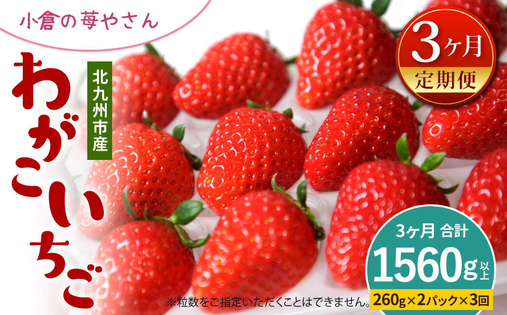 
            【定期便3回（2026年1･2･3月発送）】小倉の苺やさん「わがこいちご」 260g×2パック×3回 合計1560g以上 福岡県 いちご イチゴ 果物 旬 新鮮 朝摘み 完熟 フルーツ 冷蔵 国産 北九州市産
          