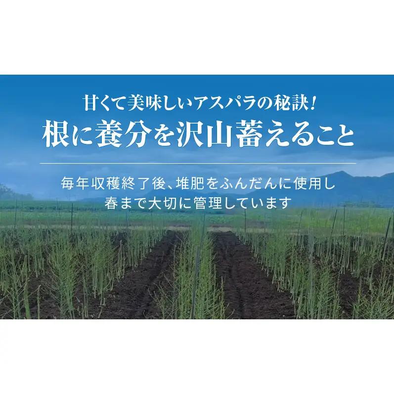 グリーンアスパラ 富良野産 武田農園 アスパラ【2L 2kg】【先行予約】