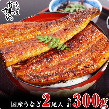 247.【うなぎ屋かわすい】国産うなぎ蒲焼き大サイズ２本セット(kw-247)(A247-2)