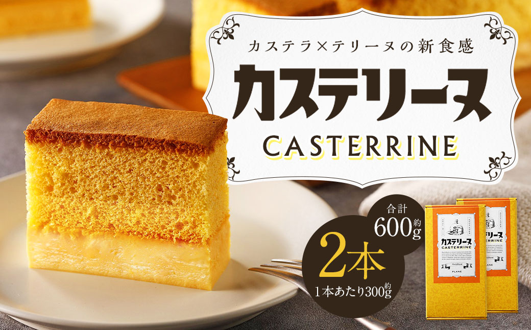 長崎カステリーヌ 2個セット 計600g (約300g×2)  ／ タカナヤ カステラ かすてら スイーツ デザート お菓子 菓子 長崎県 長崎市