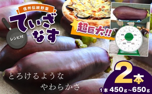 【先行予約】令和8年8月上旬発送予定 信州伝統野菜 天龍村産ていざなす2本セット（１本450ｇ～650ｇ）☆レシピ付き☆ | 食品 野菜 なす 茄子 ていざなす サラダ ピクルス 天龍村産 信州伝統野菜 長野県 南信州 天龍村