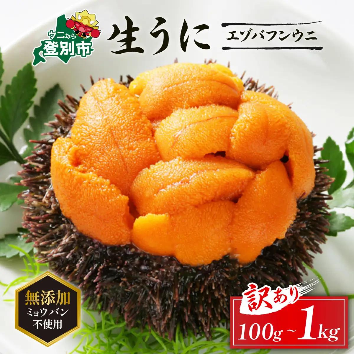 【ミョウバン不使用】訳あり 無添加エゾバフンウニ 塩水パック 100g【mh-0906_B】