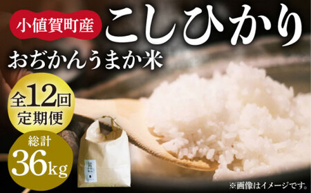 【全12回定期便】【令和6年度産】おぢかんうまか米（小値賀町産こしひかり 3kg ・精白米） [DAB013] コシヒカリ こしひかり 米 お米 白米 ご飯 精米 お弁当  常温