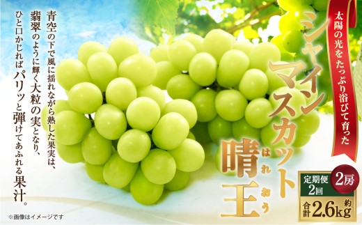 [HS]【定期便 全2回】ぶどう シャイン マスカット 晴王 2房（合計約1.3kg）【2026年9月上旬～10月下旬発送】【ブドウ 葡萄 岡山県産 国産 フルーツ 果物 ギフト】