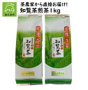 【ふるさと納税】農林水産大臣賞受賞 知覧茶 煎茶 1kg 500g × 2 パック 茶農家から直接お届け 緑茶 てん茶 茶葉 お茶 ティータイム 美味しい 日本茶 国産 茶農家直送 産地元詰 お取り寄せ 小磯製茶 鹿児島県 南九州市 送料無料