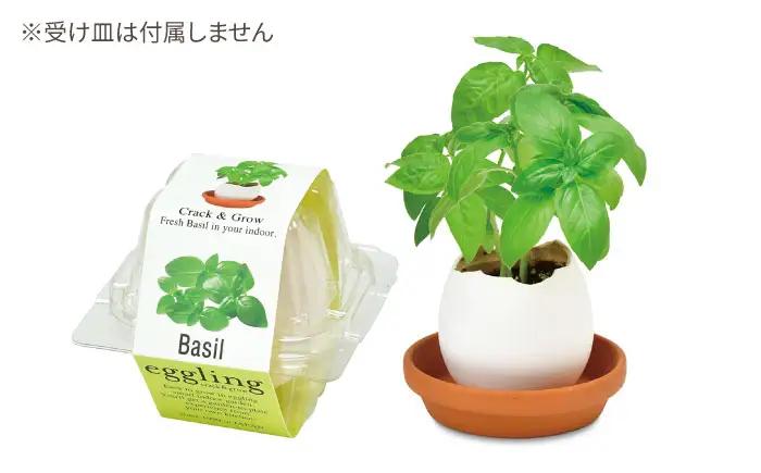 エッグリング クリアパッケージ 2個（バジル、クローバー） / 栽培キット 園芸 ハーブ / 瀬戸市 / 聖新陶芸[BBEK003]