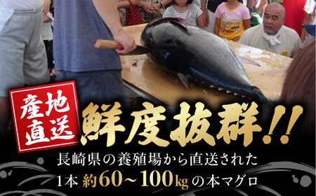 長崎県産 本マグロ「赤身・中トロ」盛り合わせ (約550g) まぐろ マグロ 中トロ あかみ 赤身 鮪 まぐろ マグロ さしみ 刺身 刺し身 マグロ まぐろ 中トロ セット 冷凍 まぐろ マグロ 中ト