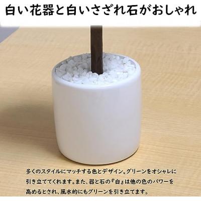 ふるさと納税 芦別市 造花　グリーンボール　光触媒加工済み |  | 02