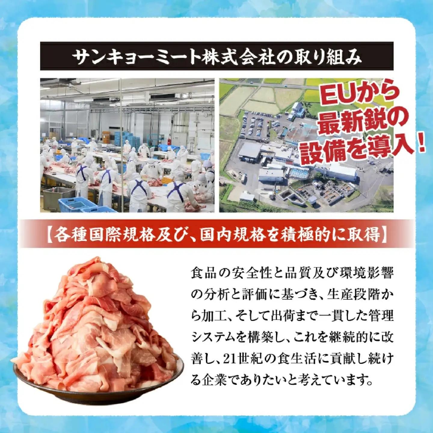 【定期便・全3回】九州産豚肉3種セット定期便(大容量 九州産豚肉 国産豚肉 炒め物 しゃぶしゃぶ とんかつ 焼肉 生姜焼き 肉じゃが カレー 豚汁)