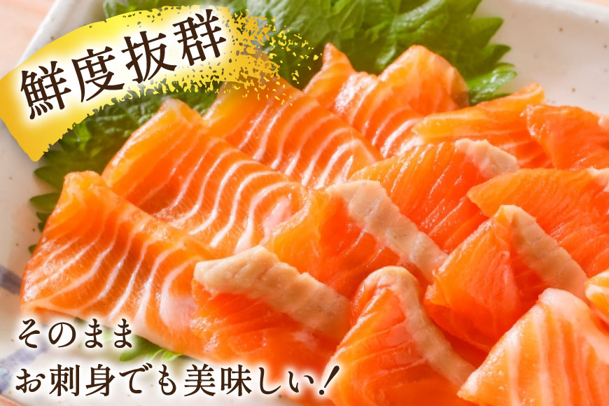 訳あり サーモン 切り落とし おさしみ用 1.5kg 300gx5p 無添加 [足利本店 宮城県 気仙沼市 20565608] 魚介類 鮭 お刺し身 刺し身 刺身 個包装 チリ銀鮭 銀鮭 海鮮 海鮮丼