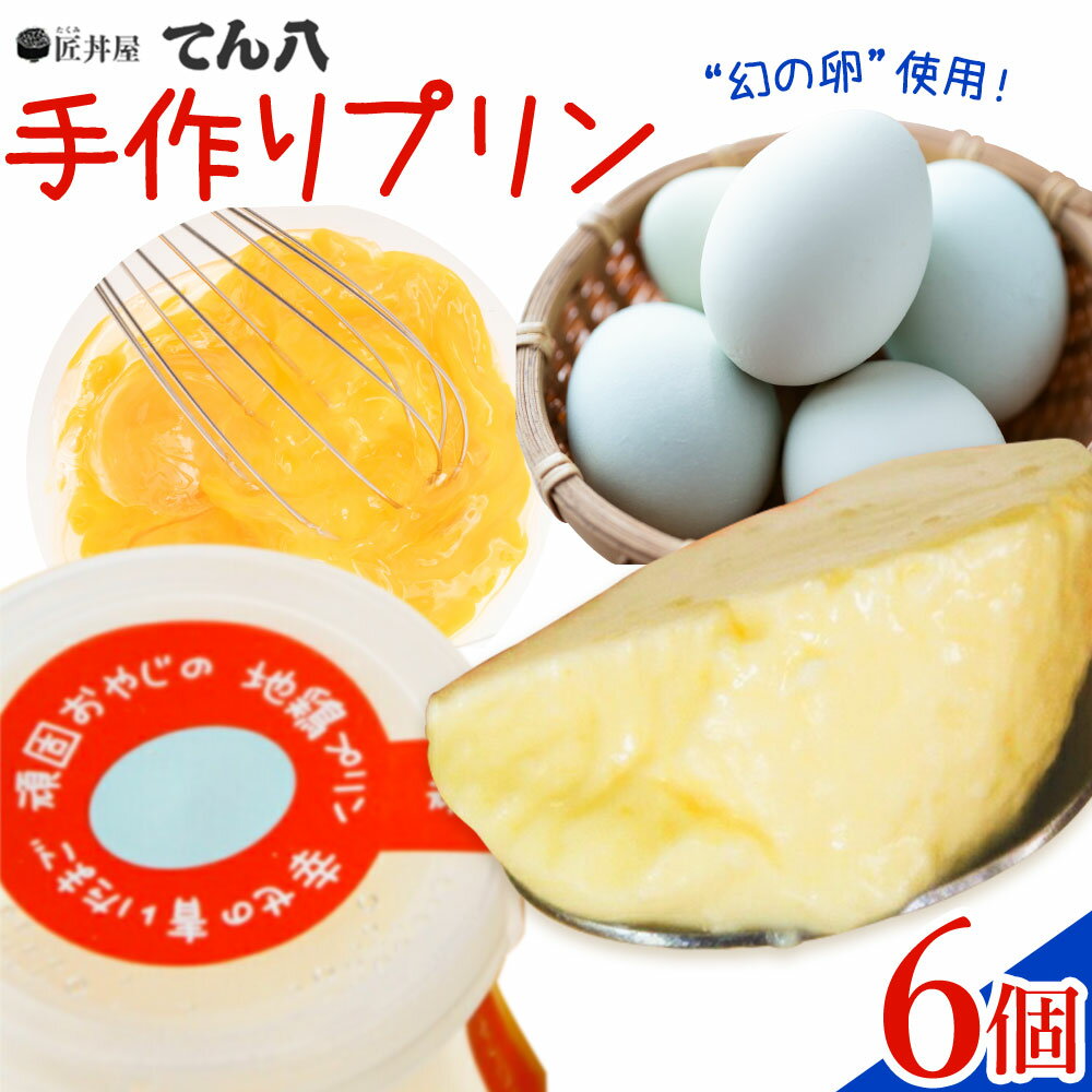【ふるさと納税】プリン 頑固おやじの手作り健康プリン6個セット 匠丼屋てん八《30日以内に出荷予定(土日祝除く)》栃木県 野木町 プリン ぷりん なめらか スイーツ 甘い 無添加 乳製品 卵 ご褒美