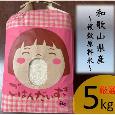 ふるさと納税 橋本市 【令和6年産】 お米 5kg 和歌山県産