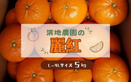 L-4Lサイズ 不揃い 濵地農園の麗紅（れいこう） 約5kg(箱込み)【2027年2月初旬から3月初旬までに順次発送予定】 / みかん ミカン 蜜柑 れいこう 麗紅 【mha003A】