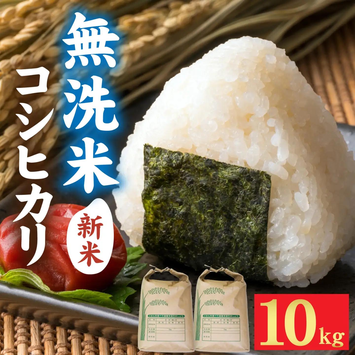 【先行予約】【みやま米】令和8年産  福井市産コシヒカリ10kg/ 天然の山水だけで育てたお米【2026年10月下旬以降順次発送予定】[C-168010] / 無洗米 色彩選別 