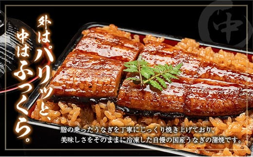 ＜定期便＞3尾×全12回 国産 うなぎ 蒲焼 有頭 計6.5kg以上（1回あたり 計543g以上） たれ付き 宮崎県産 鰻 中村商店
