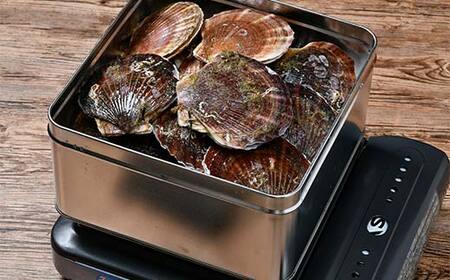 北海道噴火湾産 ほたて(二年貝)のガンガン焼き1.5kg 海産物 加工品 ほたて 帆立 ホタテ 魚介類 海鮮 森町 ふるさと納税 mr1-0980