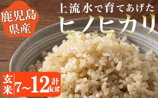 
            No.776/No.777 《令和6年産！》鹿児島県産！ヒノヒカリ玄米(7kg・12kg) 鹿児島県産 米 お米 玄米 ごはん ヒノヒカリ 小分け【大潟屋】
          