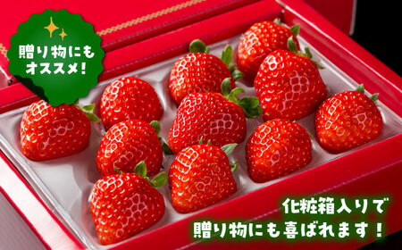 【先行予約】【農家直送】（化粧箱入り）白石産いちご「さがほのか」400g /甘いいちご 化粧箱入りいちご イチゴ 苺  佐賀県産いちご ブランドいちご さがほのか 少ない酸味のいちご 上品な甘さのいち