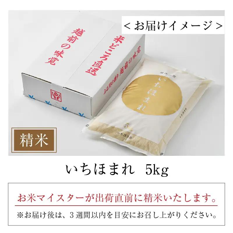 【令和7年産】いちほまれ 精米 5kg×1袋《お米マイスターが発送直前に精米！》 ／ 福井県産 ブランド米 ご飯 白米 新鮮 [aw064-a022]