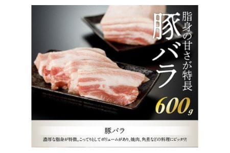 豚肉 宮崎県産豚肉「川南ポーク」バラ・カタロース・ヒレ３種ブロック計1.8kg