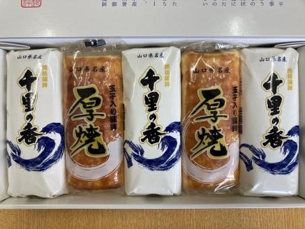 (10013) 蒲鉾 かまぼこ 仙崎蒲鉾 蒲鉾セット 5本セット ギフト プレゼント 長門市