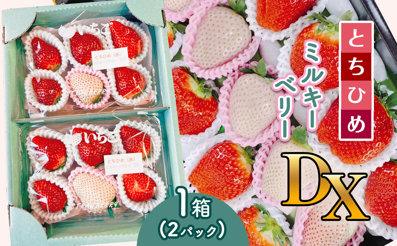 
                  いちご【先行予約】【2026年12月以降発送】とちひめ・ミルキーベリー DX 白 赤 セット 紅白 貴重ないちご 1箱(2パック)【栃木県 真岡市産】いちご 果物 イチゴ 苺 旬 産地直送 国産
                
