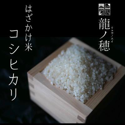 ふるさと納税 飯田市 【令和8年産】南信州産はざかけ米　コシヒカリ5kg