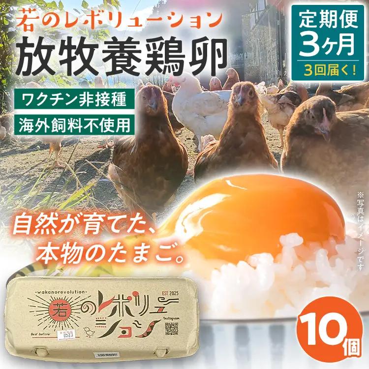 卵 定期便 3回 放牧養鶏卵 10個 「破損補償2個含」 3ヶ月間 若のレボリューション 卵 ※北海道・沖縄・離島は配送不可