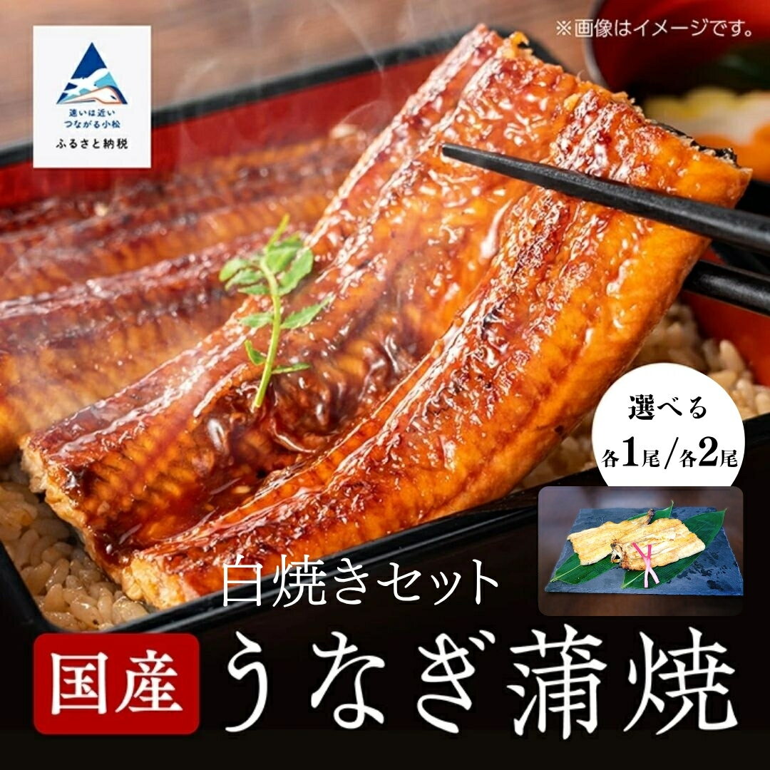 【ふるさと納税】 鰻蒲焼白焼きセット 選べる各 1尾 / 各2尾 かば焼き 白焼き タレつき 関西風 詰め合わせ おかず ごはんのお供 グルメ お取り寄せ ギフト 日本産 小松市 石川県 030095 【竹本商店】