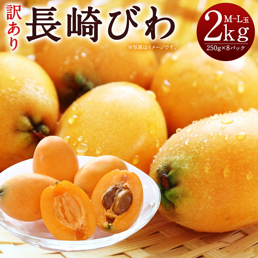 【ふるさと納税】《傷ありのため訳あり》 長崎びわ 約2kg 約250g×8パック M〜Lサイズ 傷あり 訳あり 長崎県産 枇杷 ビワ びわ フルーツ 果物 果実 季節品 ご家庭用 送料無料【2026年5月下旬～6月上旬迄発送予定】