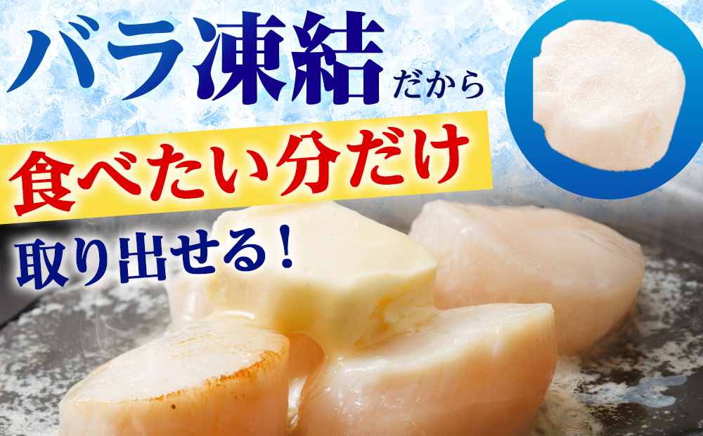 北海道産 白老加工 ホタテ玉冷〈フレーク〉500g×3＜斉藤水産＞玉冷 貝柱