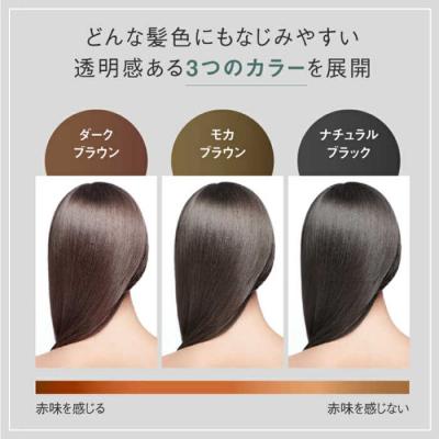 ふるさと納税 糸島市 リシリアフレル カラーシャンプー 専用ボトル+詰め替え用パウチセット 白髪染め [AZA170] |  | 03