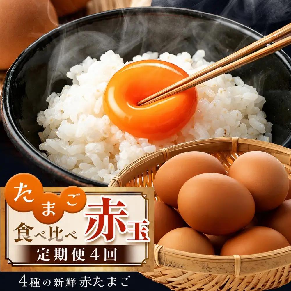 たまご 赤玉 食べ比べ 便 4回 定期便 食べ比べ 君津市産 卵 10月以降順次発送開始 |  菜の花エッグ アスタキサンチン卵 菜の花たまご 三枝農場 赤玉 保坂農場 光永ファーム 卵 タマゴ 玉子 定期 赤 卵かけご飯 お菓子作り 新鮮 オススメ グルメ セレクト 千葉県 君津市 きみつ