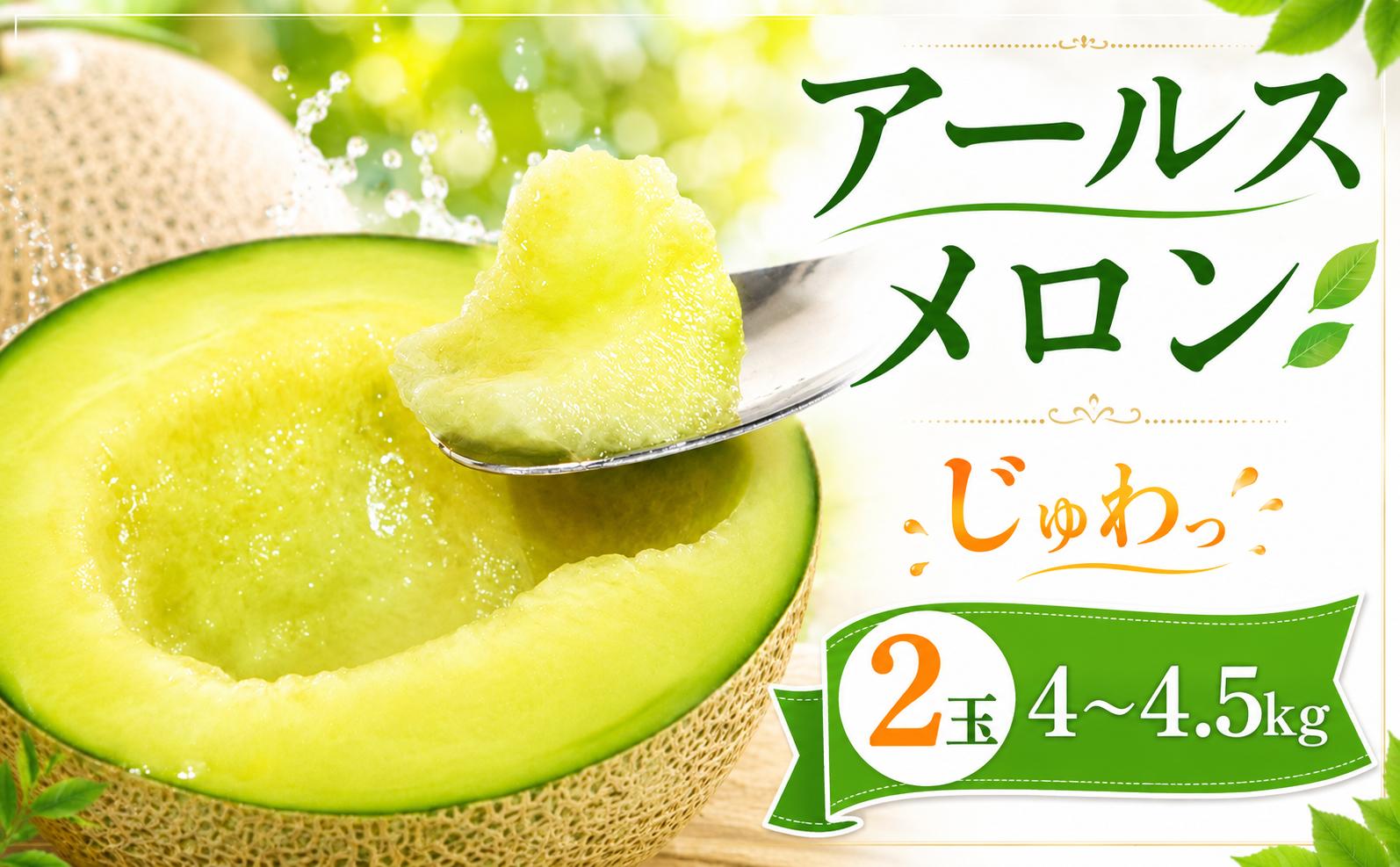 
アールスメロン（2玉入り1箱）計4kg～4.5kg
