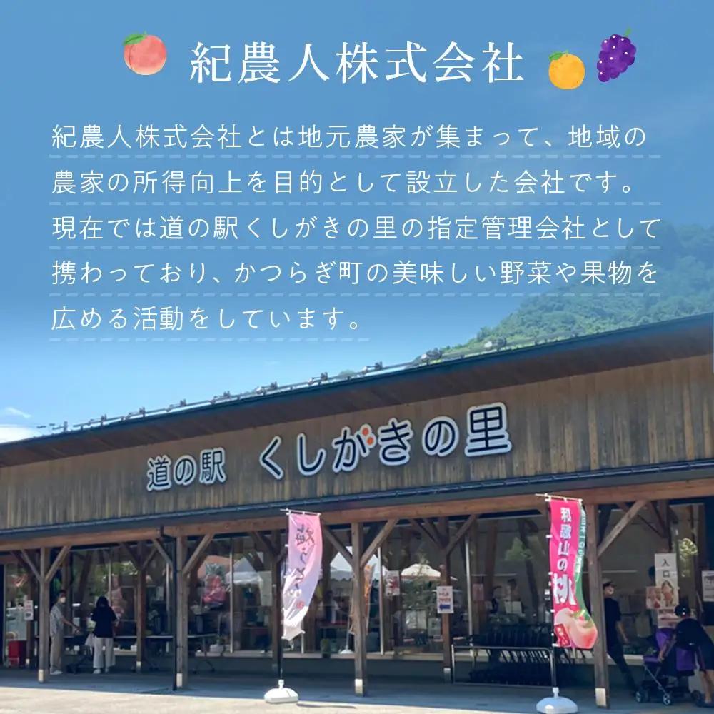 紀州てまり（和歌山県ブランド柿）6～7個入 こだわり農家厳選 先行予約 ［2026年9月末から10月末頃順次発送］［KG27］