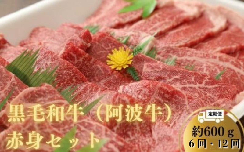 
            【定期便6回/12回】阿波牛 赤身焼肉セット 600g 冷凍 国産 黒毛和牛 阿波牛 和牛 牛肉 セット 赤身 マル イチボ クリ カメノコ トウガラシ バーベキュー BBQ
          