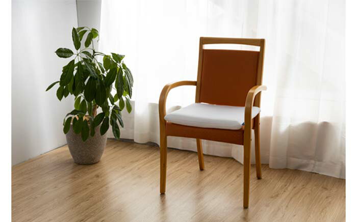 【ふるさと納税】 ブレスエアー（R）クッション ／ 座布団 体圧分散 日本製 送料無料 埼玉県 ※沖縄・離島地域へのお届け不可 No.286