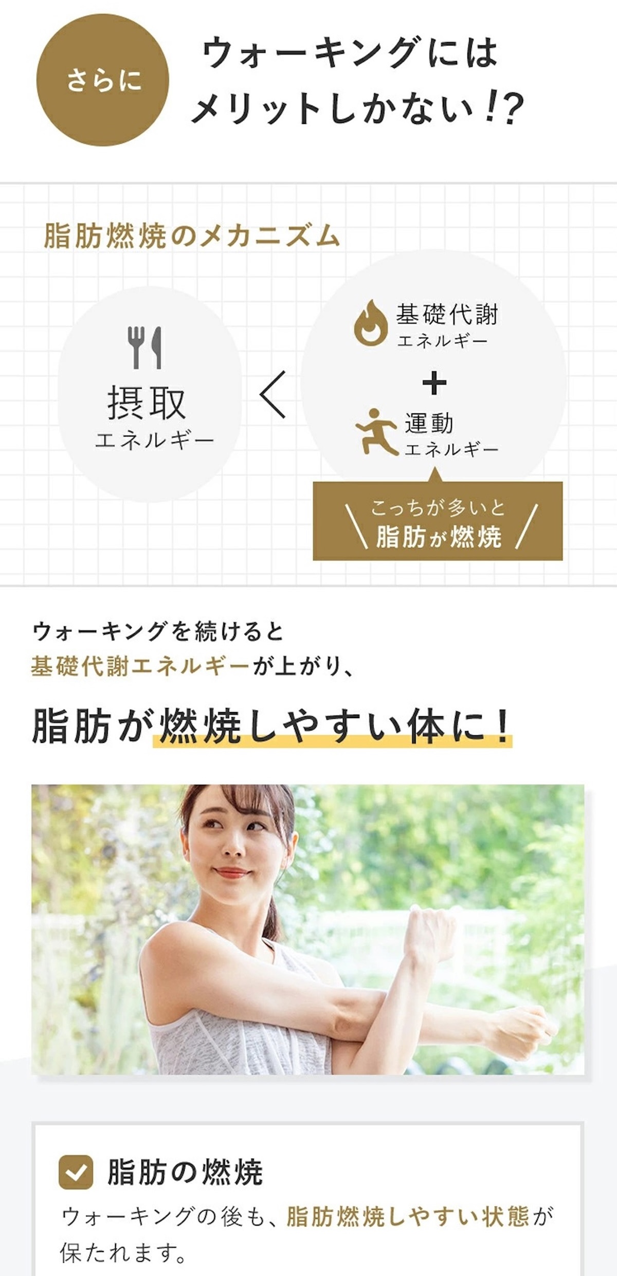 【クラウドファンディング対象返礼品】WalkingPad R1pro 世界唯一の折りたたみランニングマシン [1332]