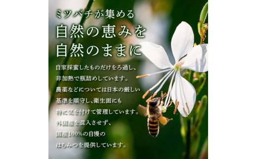 アカシアはちみつ 1kg(500g×2本) 伊達市産 国産 天然 蜂蜜 ハチミツ ハニー   調味料 はちみつ 加工品 食品 F20C-292