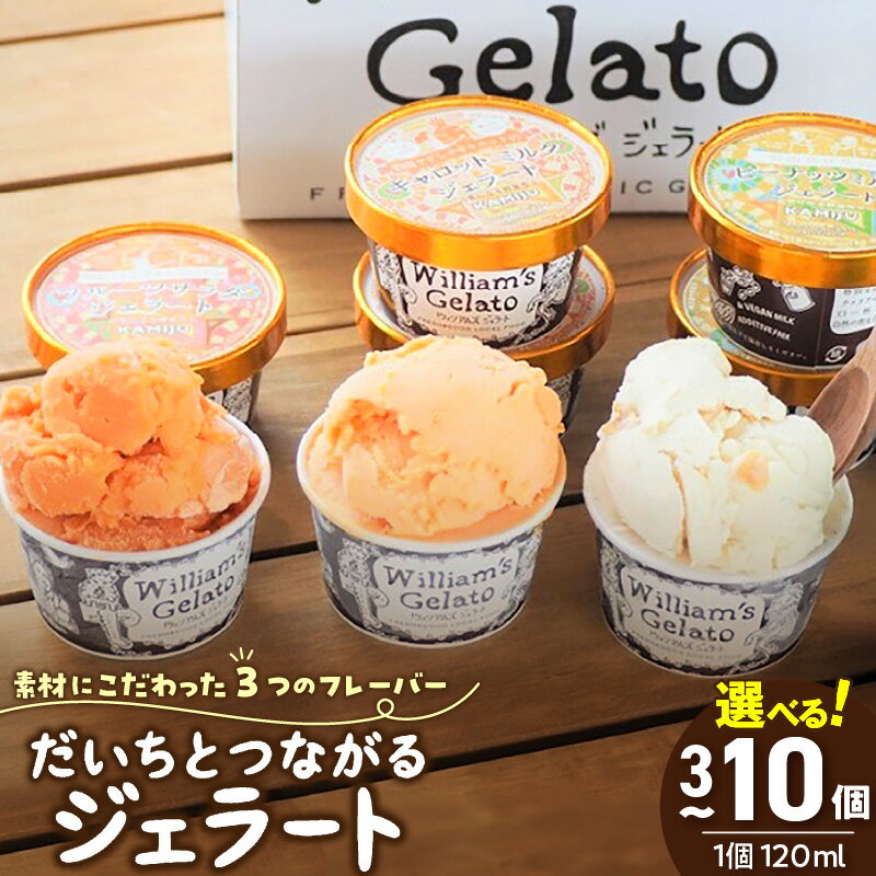 【ふるさと納税】ジェラート アイス 詰め合わせ 120ml 選べる 容量 3個 ～ 10個 マドンナキャロット vegan ミルク ヘルシー 濃厚 ウイリアムズジェラート 神重農産 コラボ ピーナッツミルク からだに優しい お取り寄せ 愛知県 碧南市 送料無料