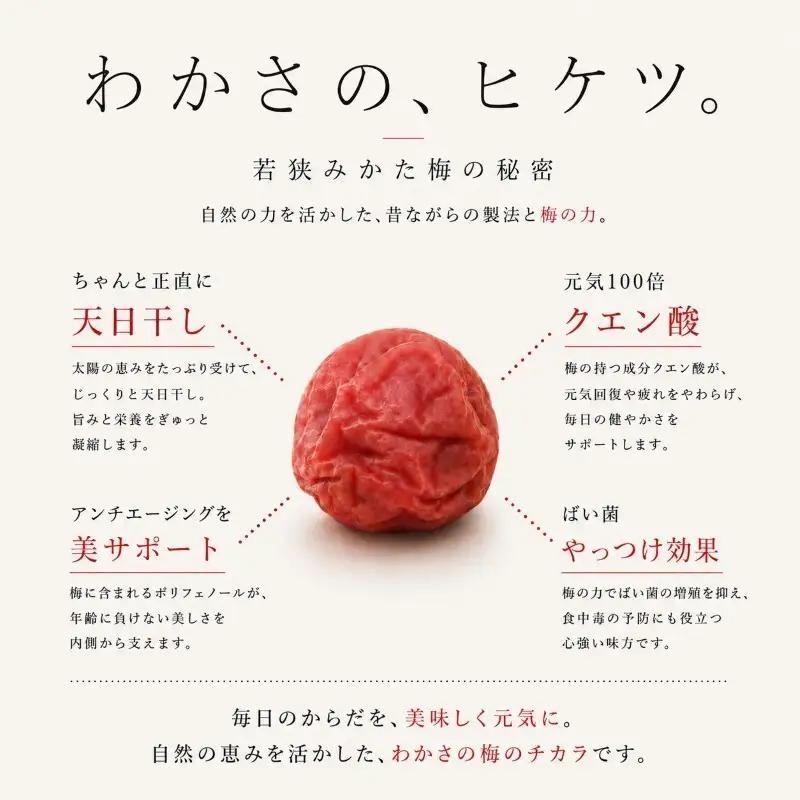 【訳あり】【保存容器付き】 梅干し 3袋 合計 390g 発酵食品 すっぱい 梅干し