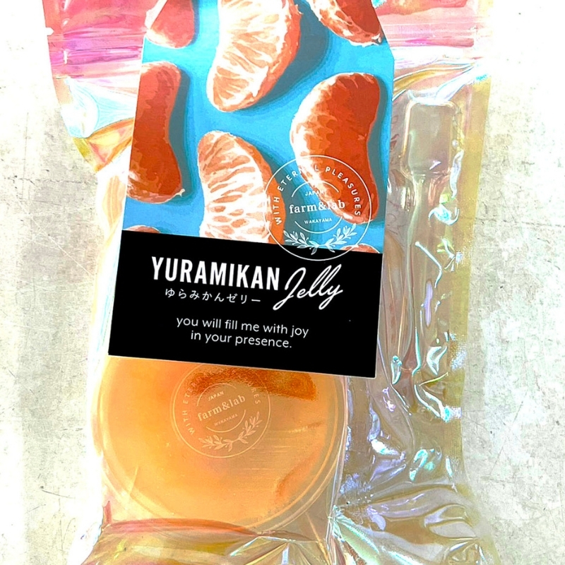 旬の2個入りゼリー25袋 みかんの美味しさぎゅっと詰めました【fmlb071】