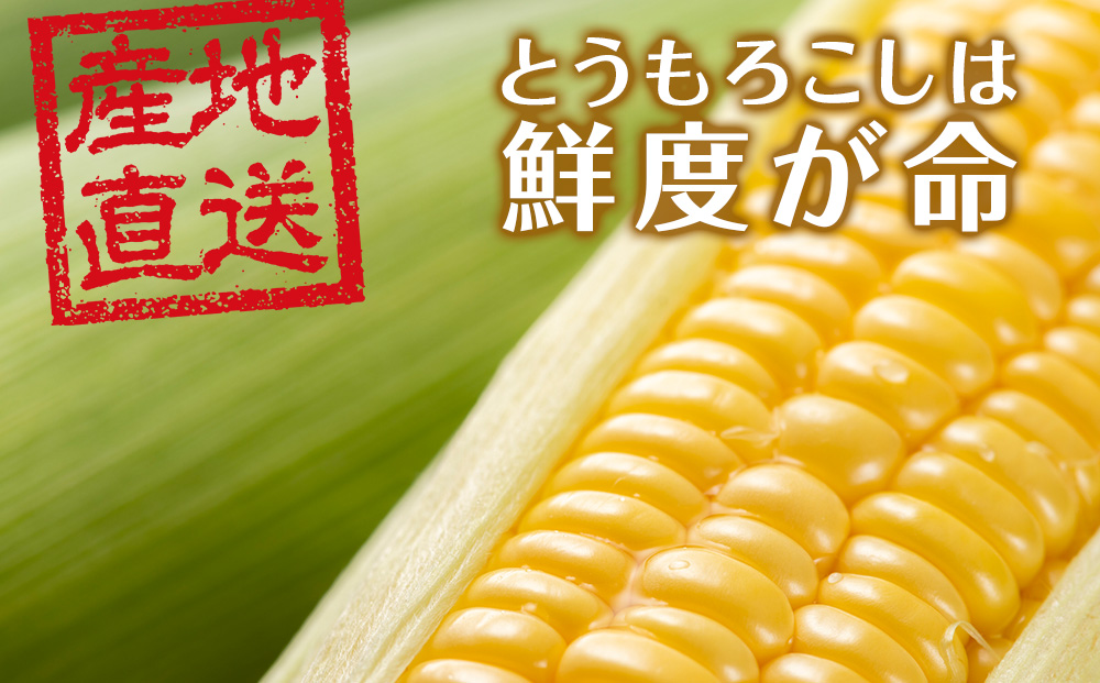 【先行予約】北海道 千歳産 とうもろこし 1本430ｇ以上 10本 恵味シリーズの中からおまかせで1種類 野菜 トウモロコシ 甘い 旬 夏 BBQ ＜ふぁーむあんざわ＞