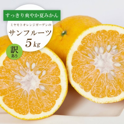 【2026年3月以降発送】さっぱりみずみずしいサンフルーツ(甘夏)5kg【訳あり】【C25−214】【1612630】
